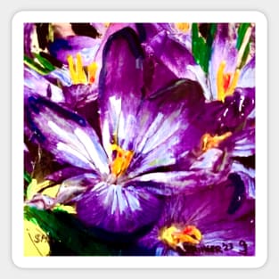 Saffron Crocus Sticker